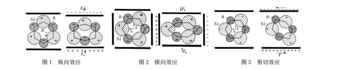 動態1.jpg